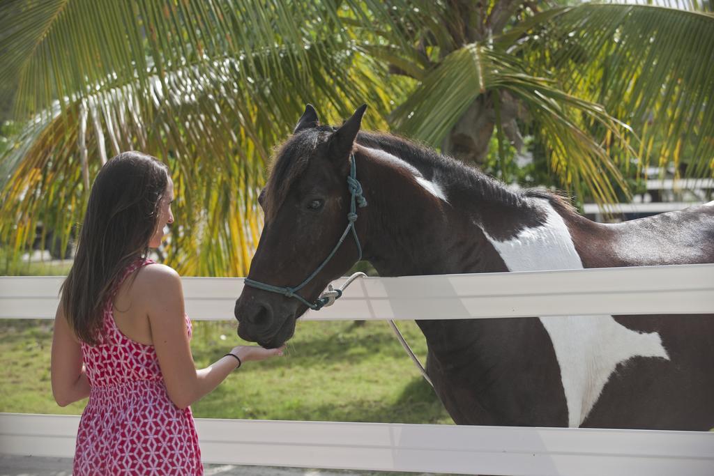 Biras Creek Resort Spanish Town Eksteriør billede
